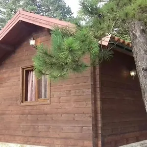 Iliria Tiny House Llogora Appartement Orikum